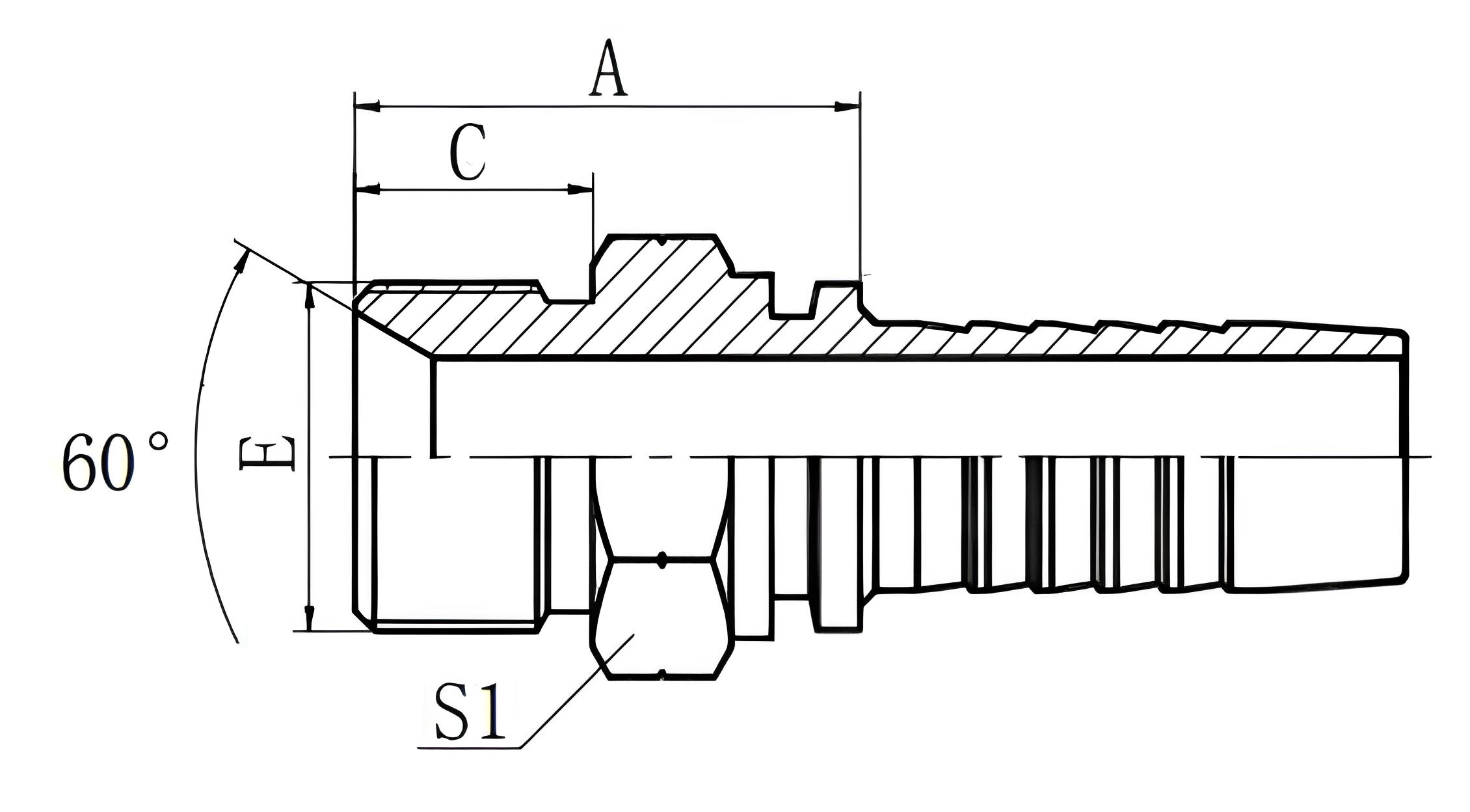 BSP